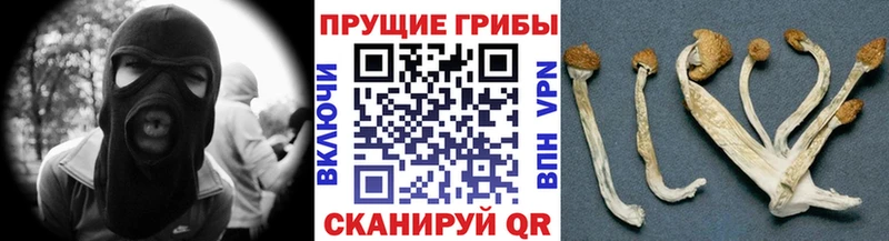 Псилоцибиновые грибы ЛСД  OMG зеркало  Кадников 